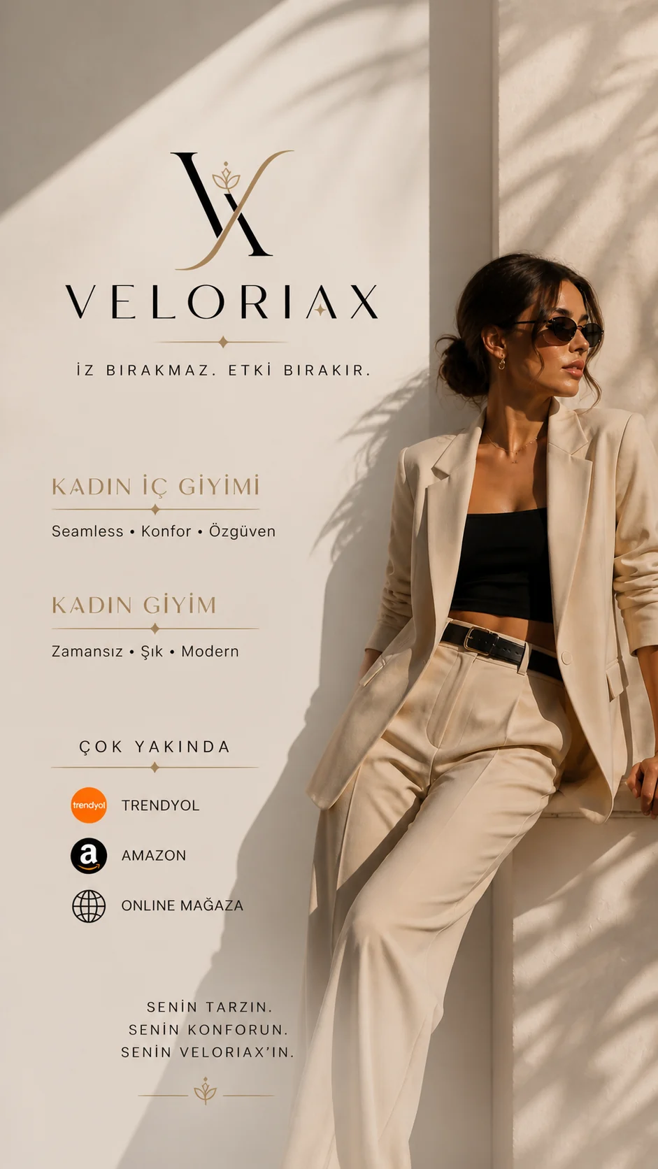 Veloriax story poster
